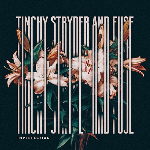 Tinchy Stryer |Imperfection feat. Fuse ODG